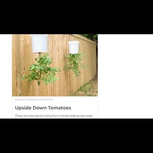 Meet your Posher, Dawn